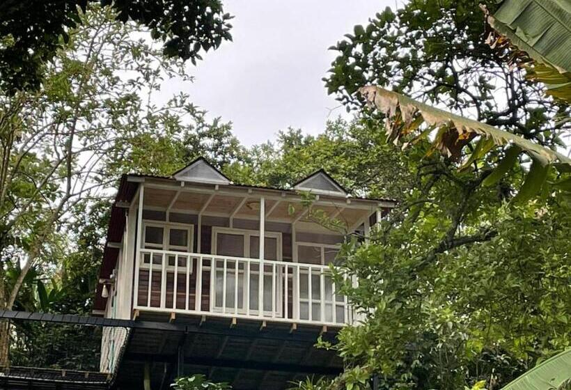 חדר דלוקס עם מרפסת, Villas Del Rio Glamping