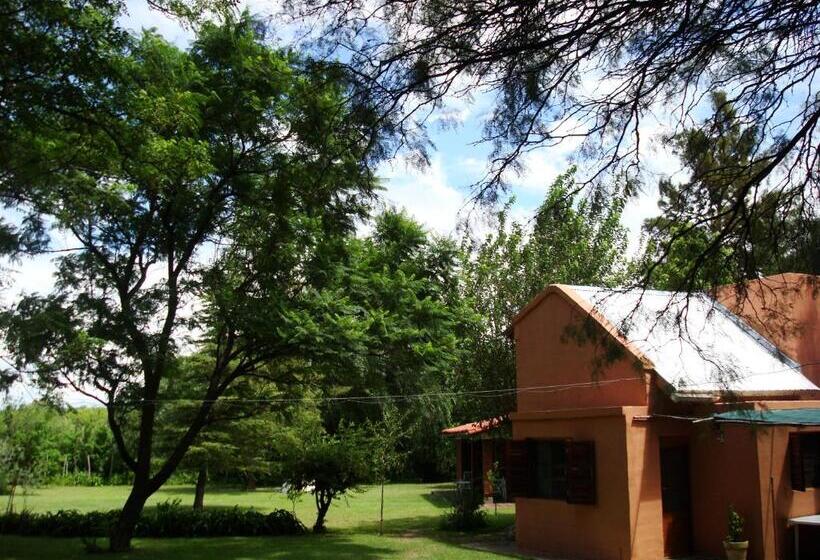 شقة غرفة واحدة, El Limon