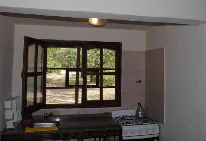 شقة غرفة واحدة, El Limon