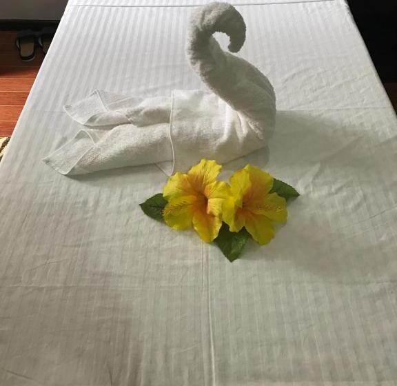 شقة غرفة واحدة, Ranile S Pension House