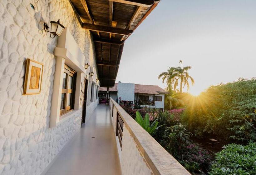 חדר סטנדרט, Rancho Regis