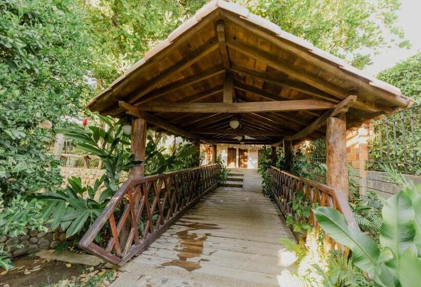 اتاق سوپریور سه تخته, Rancho Regis
