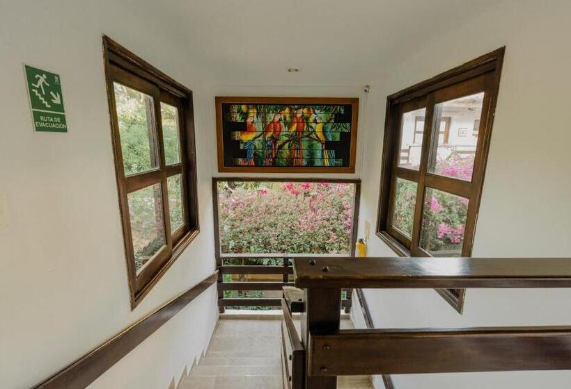 חדר משפחתי, Rancho Regis