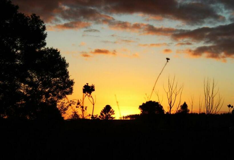 בית, חדר שינה 1, A Log Home At Buffalo Creek