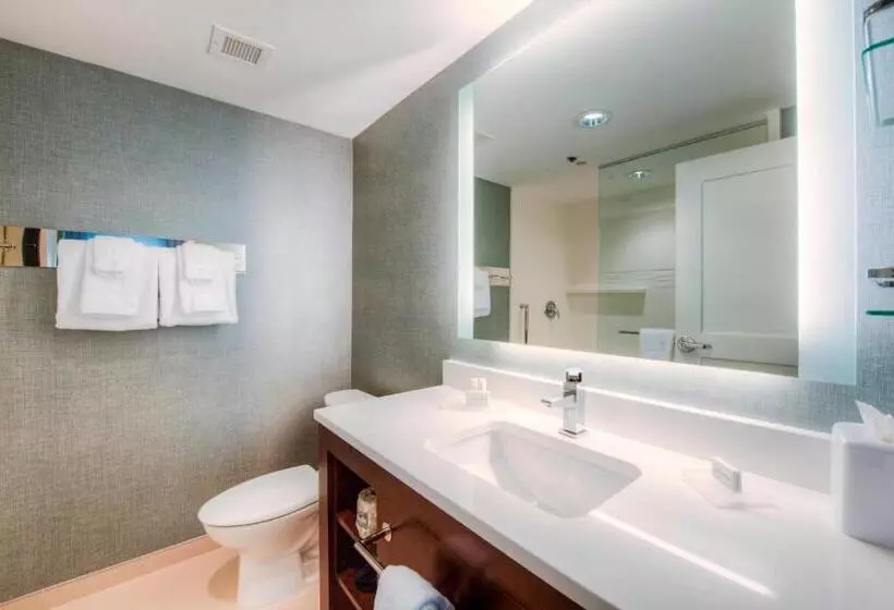 Standard-studio King-vuode, Residence Inn By Marriott Charlotte Airport