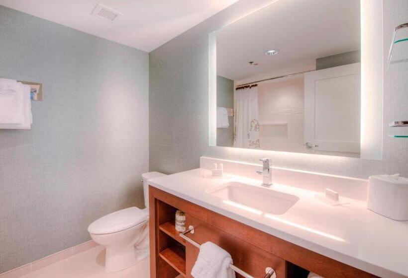 带大床的套房, Residence Inn By Marriott Charlotte Airport