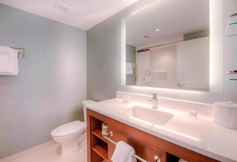 Sviitti King-vuode, Residence Inn By Marriott Charlotte Airport