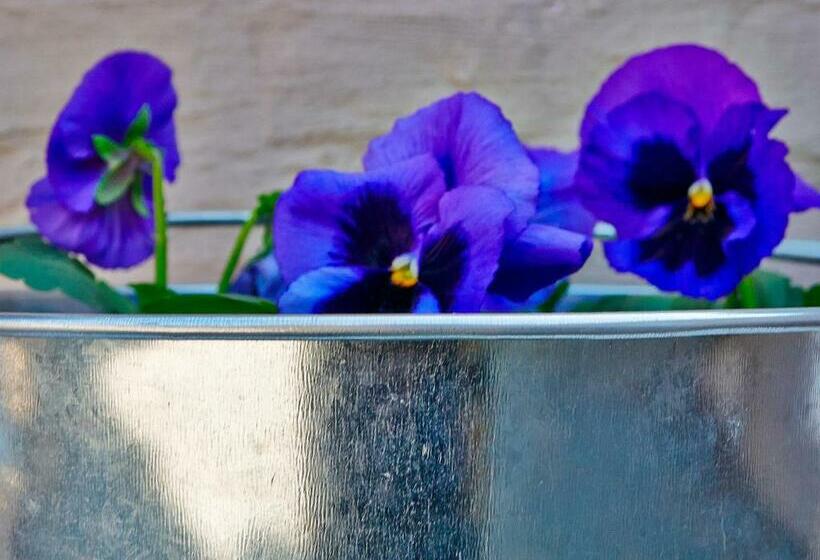 جناح عائلي, Upper House Guesthouse