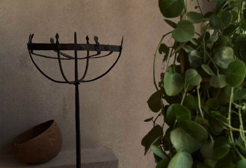 جناح مطل على المدينة, Monastik Living In Athina