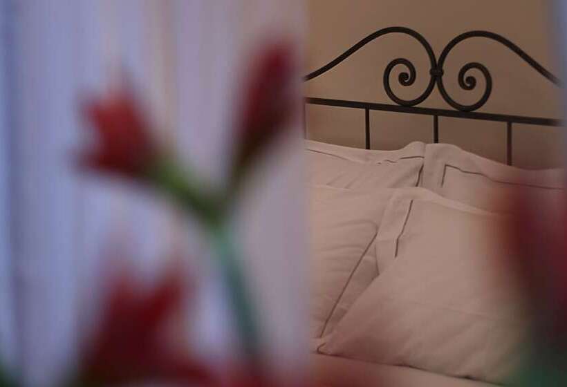 اتاق استاندارد, Corsini Tintori