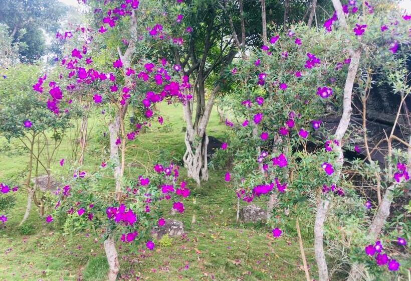 Семейный Номер Вид на Горы, Almost Heaven