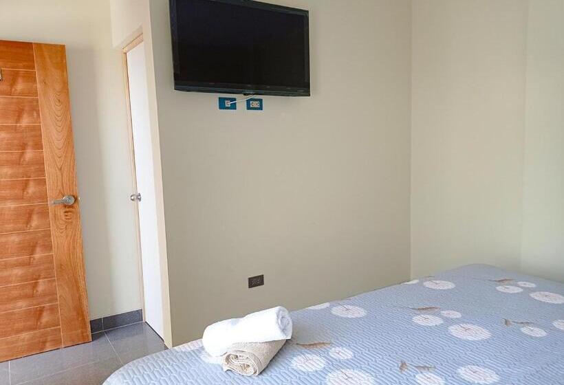 اتاق لوکس با تخت بزرگ, Sunlight