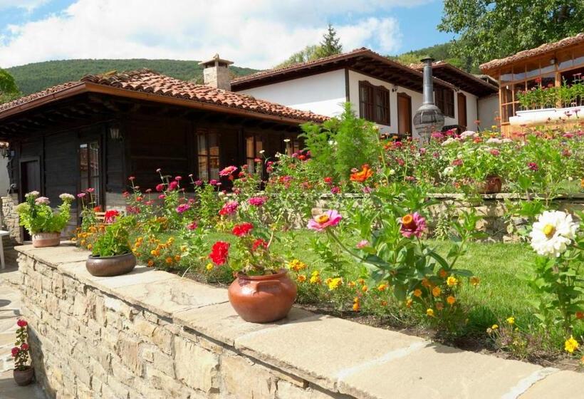 סטודיו סטנדרטי נוף לגינה, Kodjamanova House