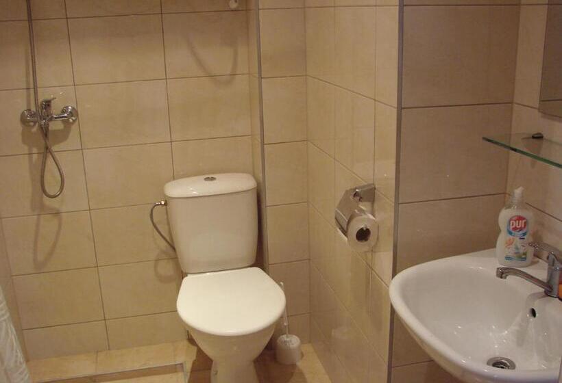 اتاق استاندارد, Pas Roma