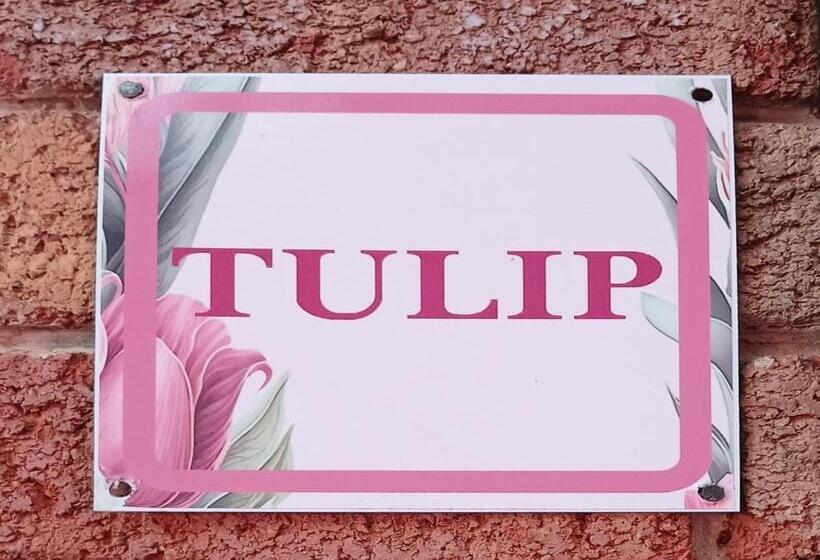 Семейный Номер Deluxe, The Flower Guest House