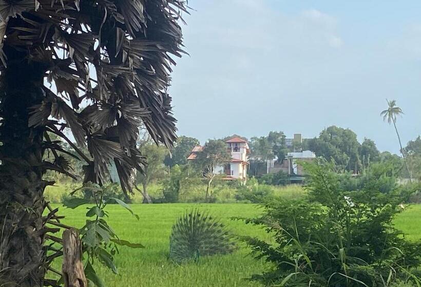 اتاق استاندارد, Gimanhala Thisawewa
