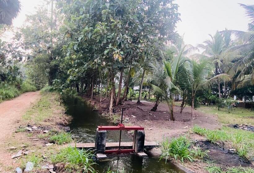 اتاق استاندارد, Gimanhala Thisawewa