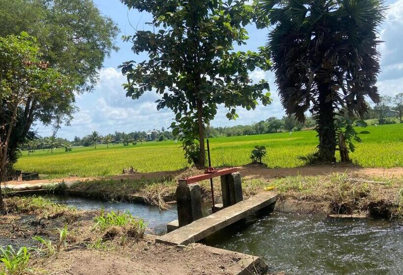اتاق استاندارد, Gimanhala Thisawewa