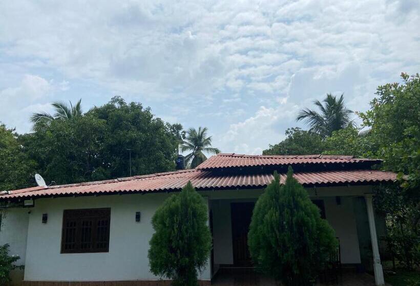 اتاق استاندارد, Gimanhala Thisawewa