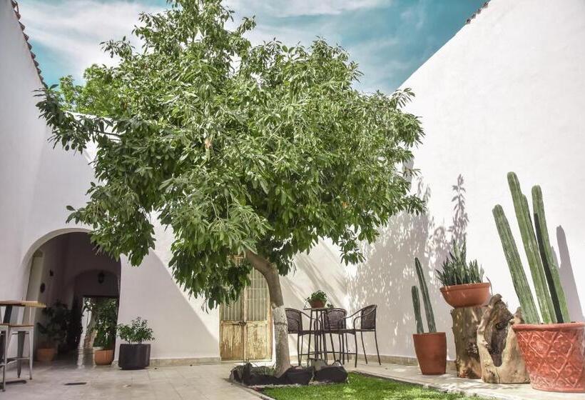 منزل غرفة نوم واحدة, Casa Raco