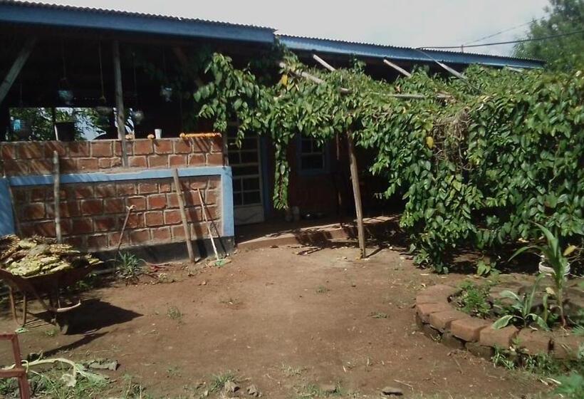 اتاق استاندارد, Kimashuku Permaculture Garden