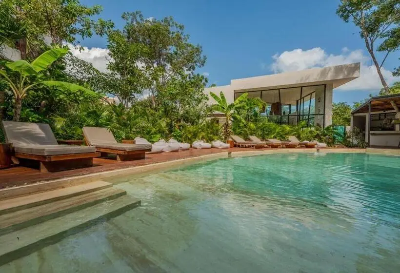 آپارتمان 1 خوابه با چشم‌انداز استخر, Departamento En Tulum Jade