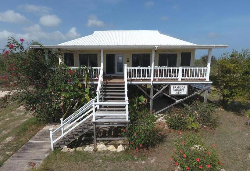 ویلای 3 خوابه, Barbuda Cottages