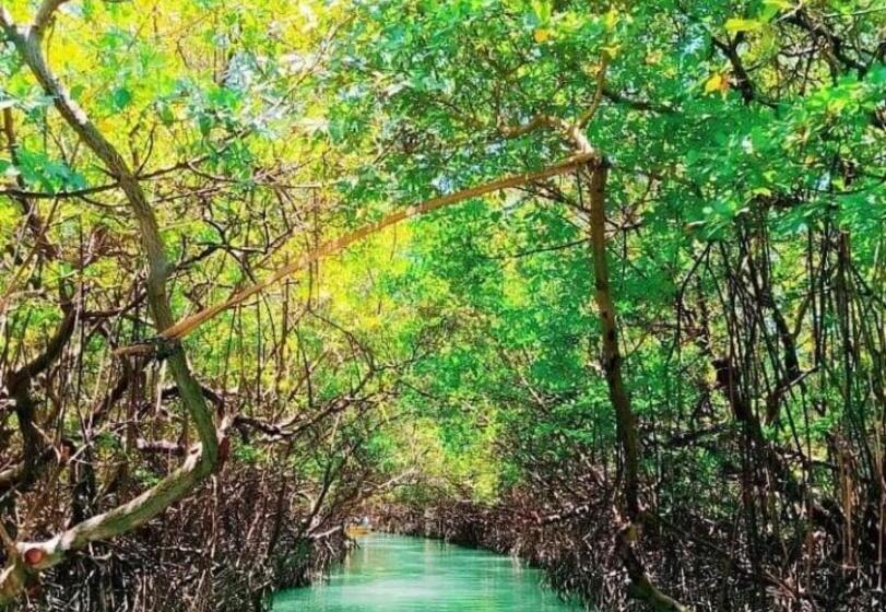 חדר משפחתי, Village Calme