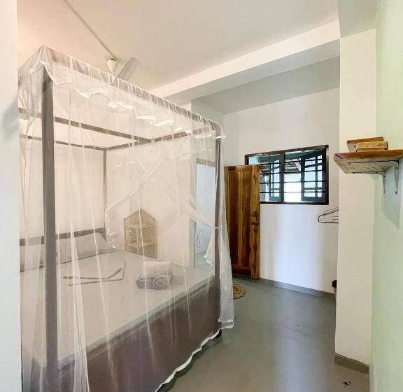 エコノミールーム, Just Another Guesthouse