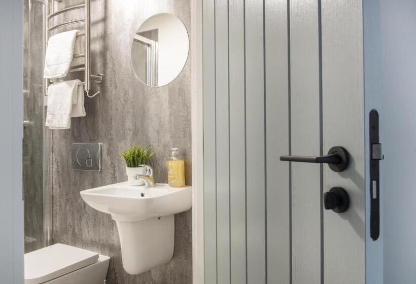 استودیوی استاندارد, Albion Street Studios