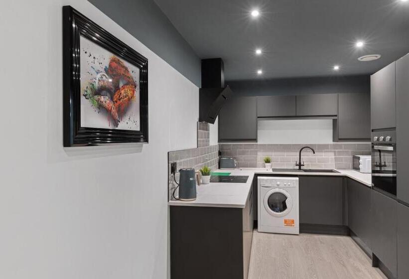 استودیوی استاندارد, Albion Street Studios