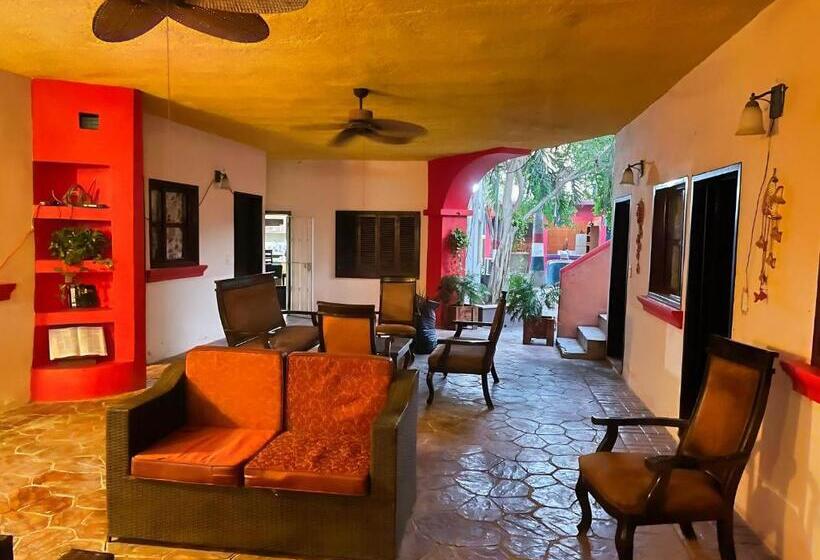 テラス付き1ベッドルームアパートメント, Casa De Arnold