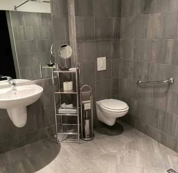 身障者適用スタンダードルーム, L Auberge Du Rhone
