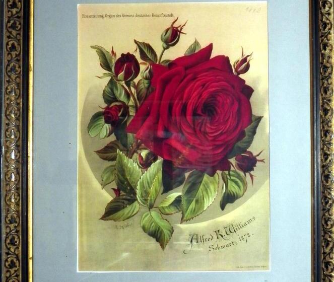 트리플 스탠다드 전망룸, Maison D'hôtes De La Verrière