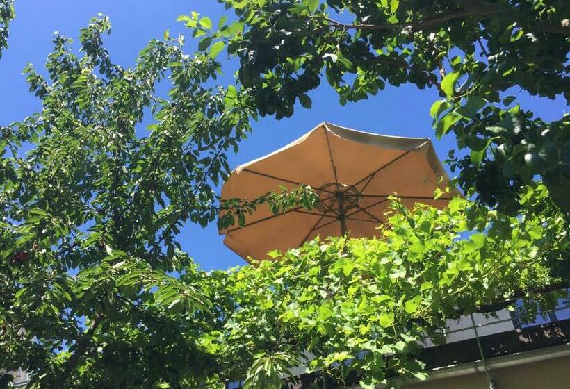 חדר דלוקס, Jugendstil Hof