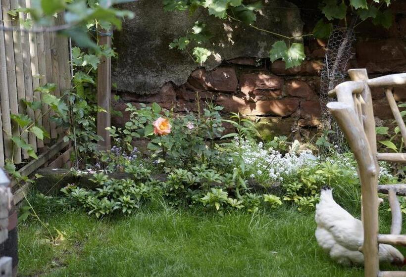 חדר דלוקס, Jugendstil Hof