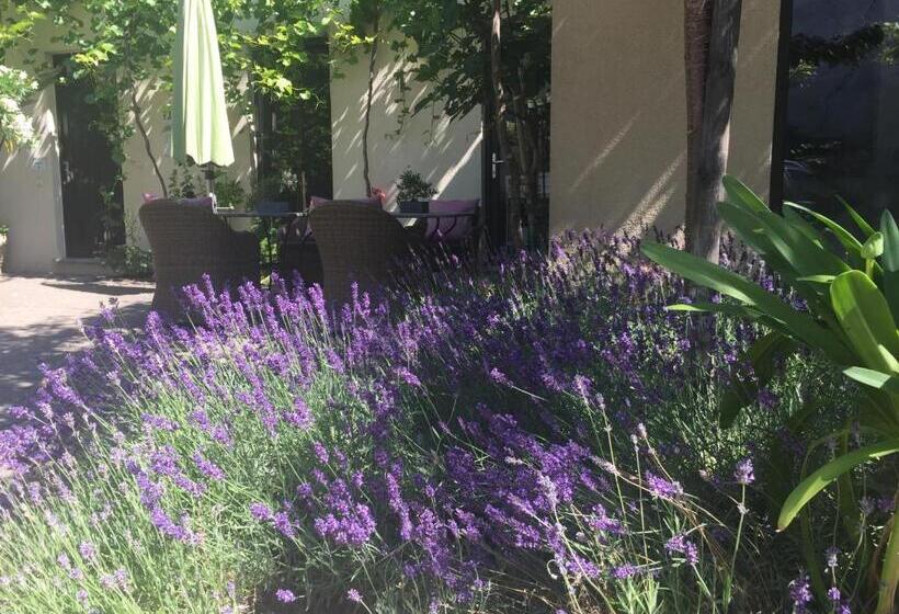 חדר דלוקס, Jugendstil Hof