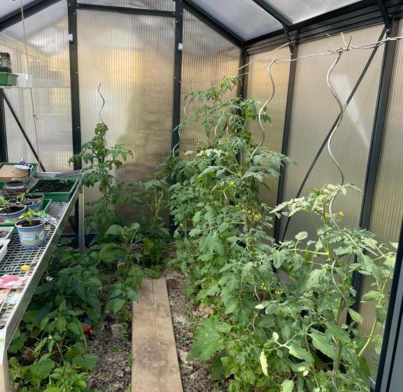 חדר דלוקס, Jugendstil Hof