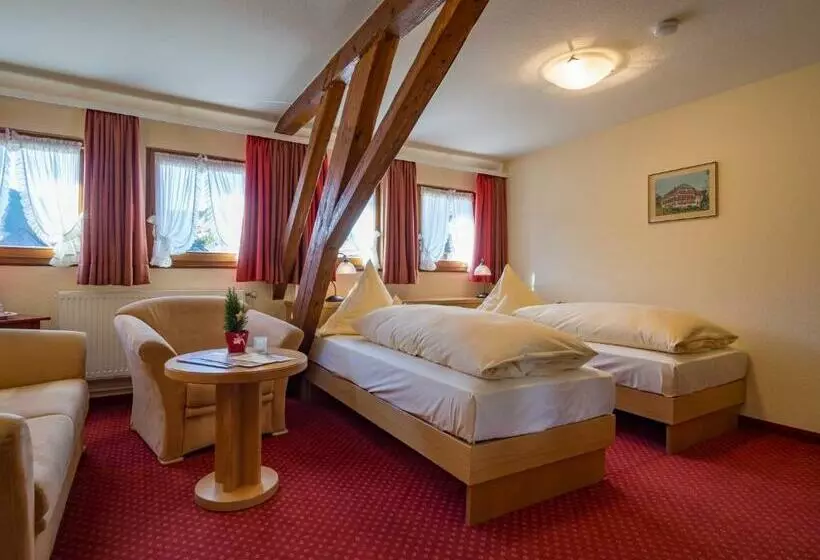 Standard-huone, Landhotel Und Apartments Sonneck