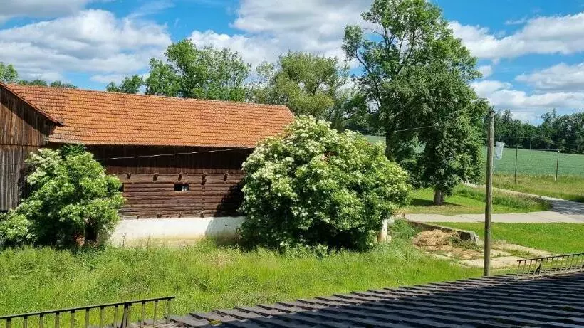 اتاق سوپریور, Land Gut Hotel Gasthof Waldschänke