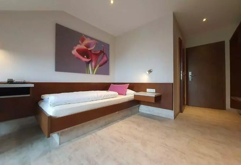 اتاق استاندارد یک نفره, Landhaus Oberaurach