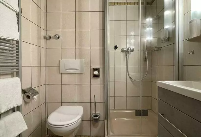 اتاق استاندارد یک نفره, Landhaus Oberaurach