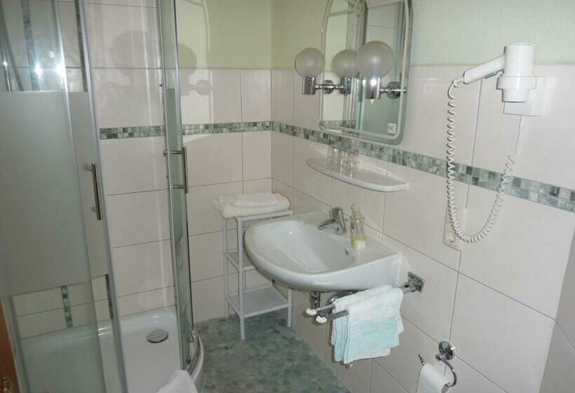 חדר סטנדרט יחיד, Maischeider Hof