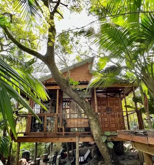 خانه 1 خوابه, Loerieroep Estate Mountainview Selfcatering Accommodation Nelspruit