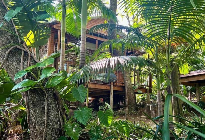 Дом 1 Спальня, Loerieroep Estate   Mountainview Selfcatering Accommodation Nelspruit