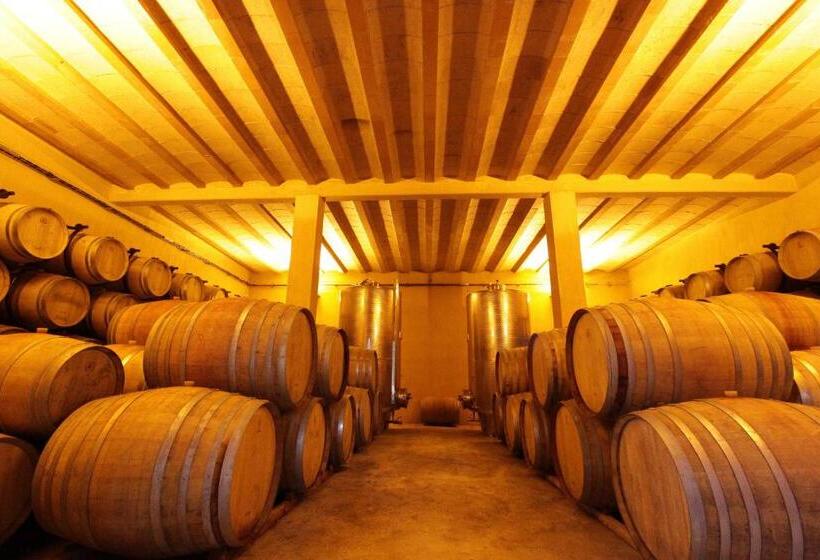 غرفة ديلوكس, O'vineyards B&b Carcassonne