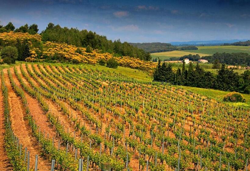 غرفة ديلوكس, O'vineyards B&b Carcassonne