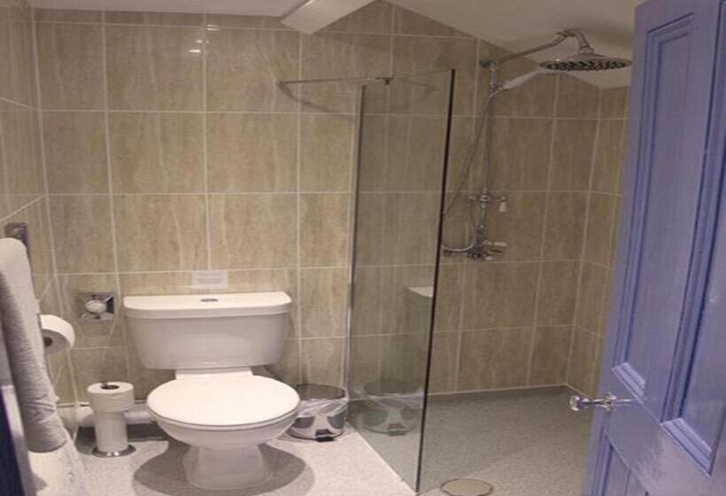 Номер Стандарт Индивидуальный, King William Guest House