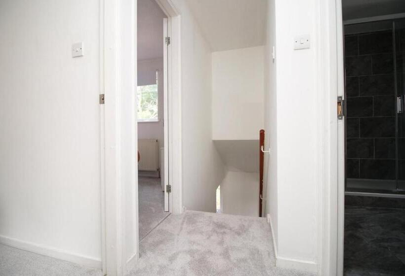 خانه 1 خوابه, 4 Br With Free On Street Parking