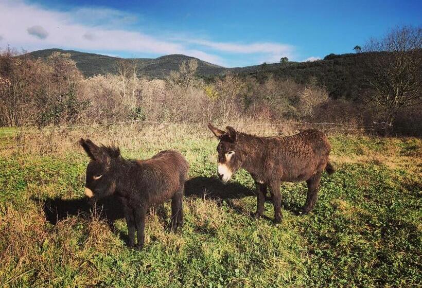 ガーデンビュースタンダードルーム, Le Mas Du Martinet